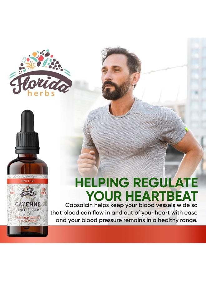 FLORIDA HERBS Cayenne Tincture Extract, Organic Cayenne (Capsicum annuum) Dried Pepper - Vegetable Glycerin - Non-GMO - 2 oz - Image 2